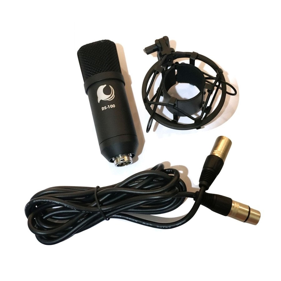 Dolphin Sound DS-100