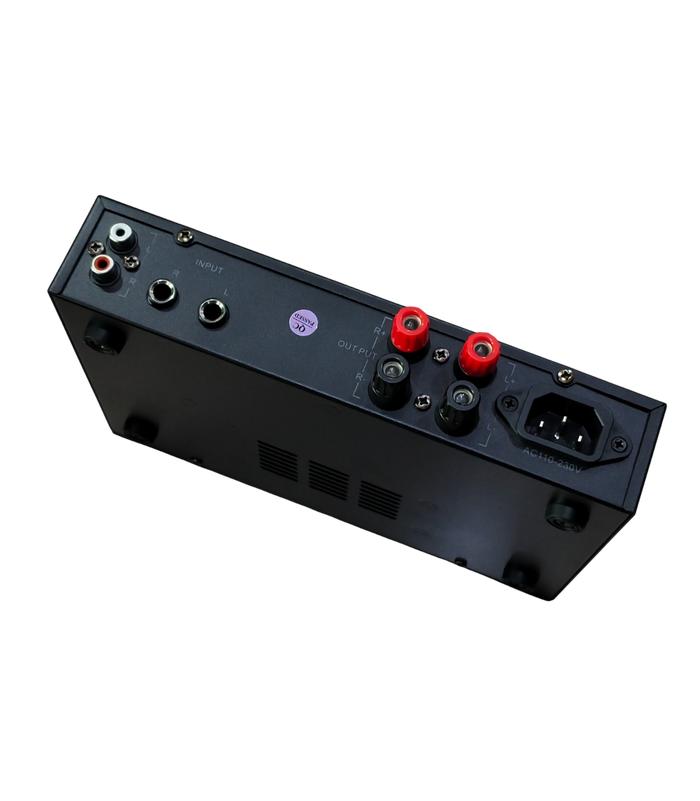 Dolphin Sound DS Amp