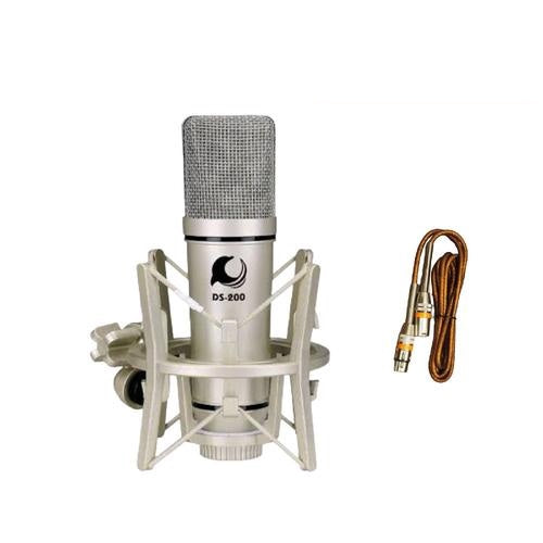 Dolphin Sound DS-200 MK2