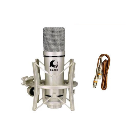 Dolphin Sound DS-200 MK2