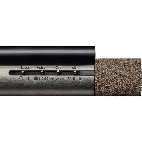 Aston Microphones Starlight